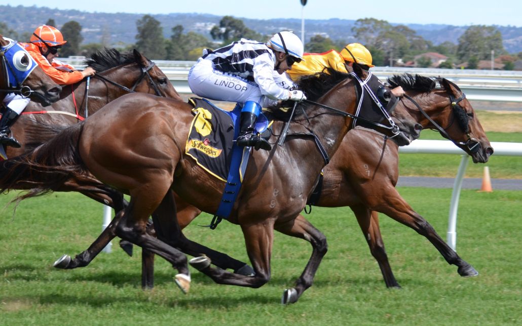 Chauffeur Service for Spring Racing Carnival Melbourne